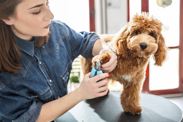 Nail Clipping