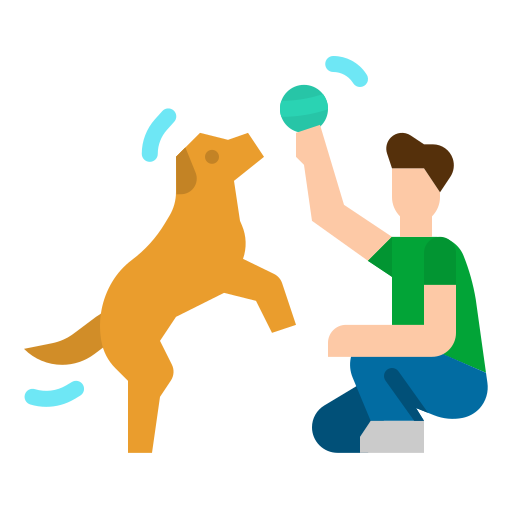 pet boarding