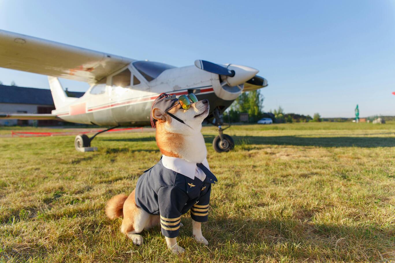 Airport Transport