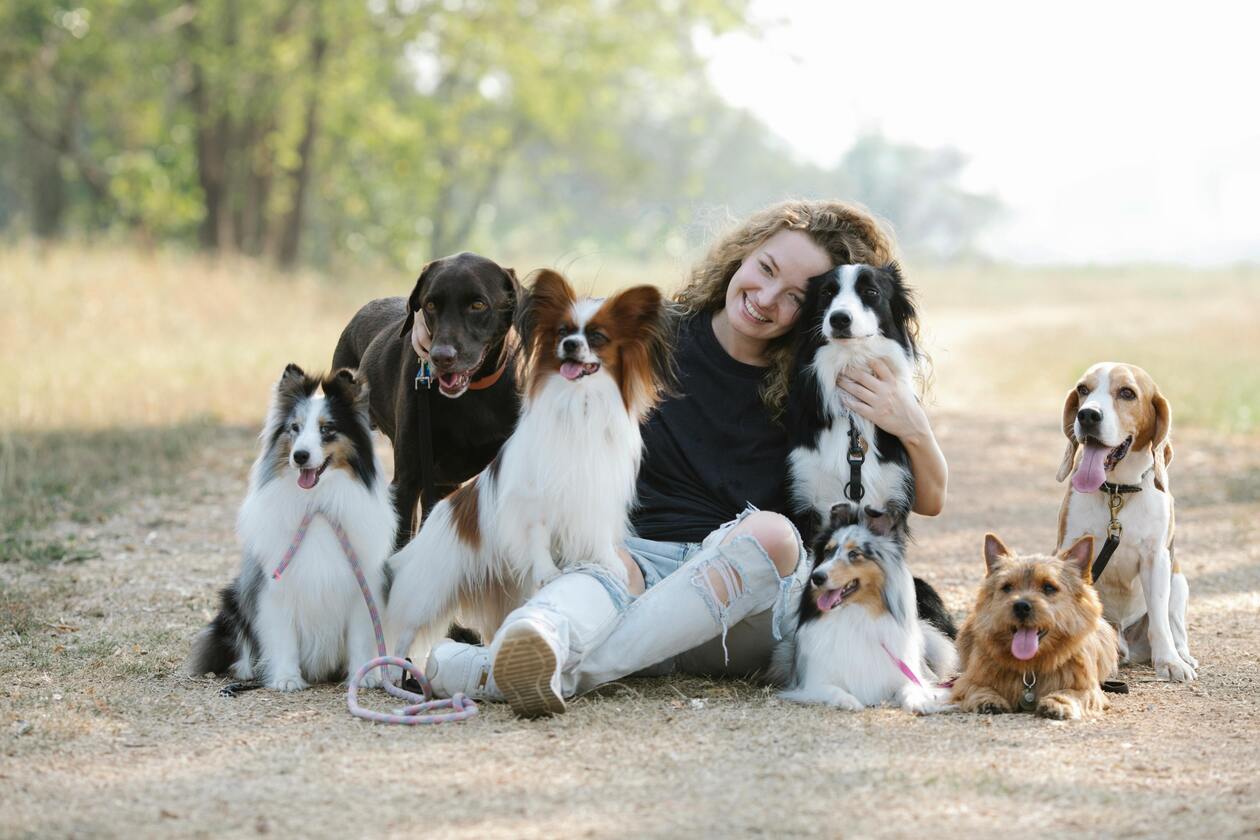 Group Pet Walking