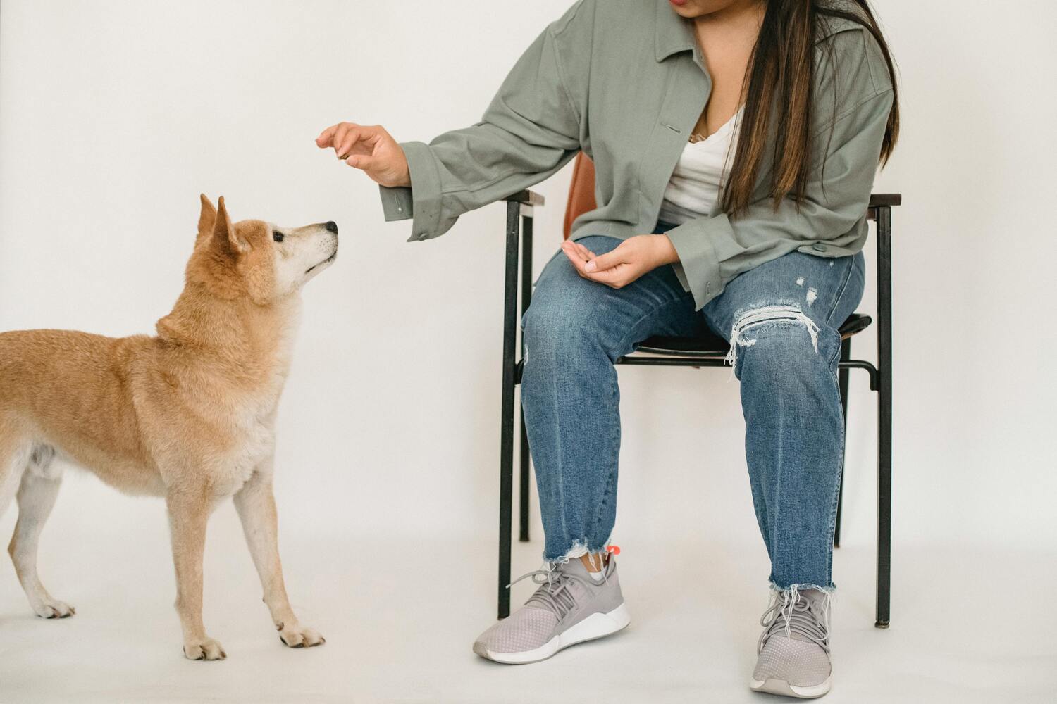 Behavioral Correction Training